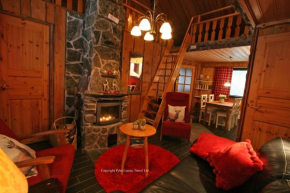 Holiday Home Kantapää A3 Luosto